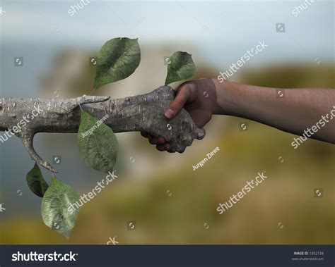  O Homem Que Conversava com os Pássaros: Uma Lição Sobre a Harmonia entre a Natureza e o Ser Humano?